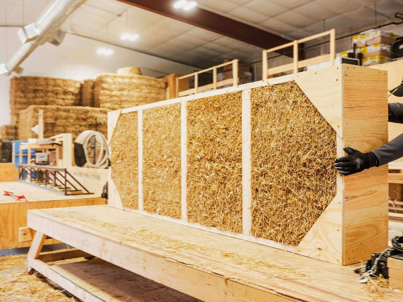 A completed straw wall panel on a shop table, straw visible between the timber studs